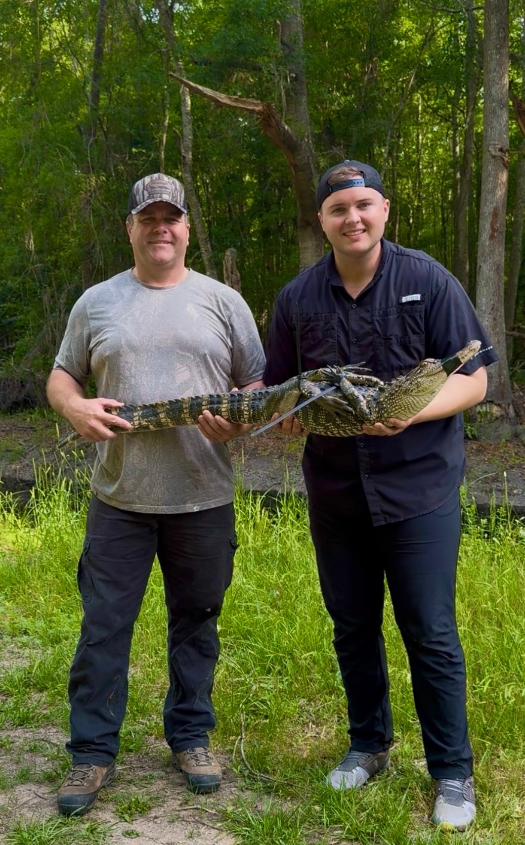 John Padgett, owner of Padgett Wildlife Solutions, holding an alligator with a colleague